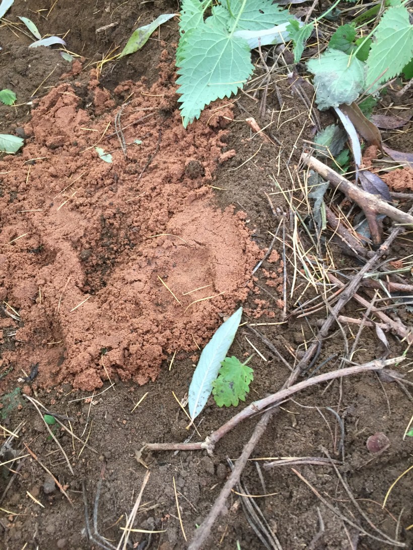 7DBC785A-2DE7-4159-BE3F-C3AA085F0CF6