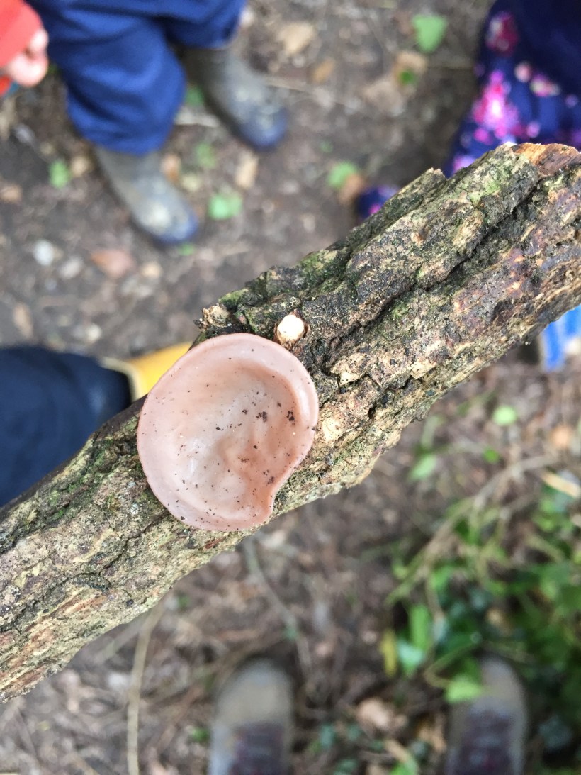 7B475AAE-3887-43E1-B6C3-53F5A732A155