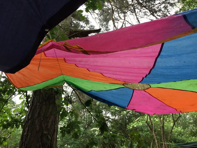 08F54341-A665-44A0-B228-5887AFFD404E