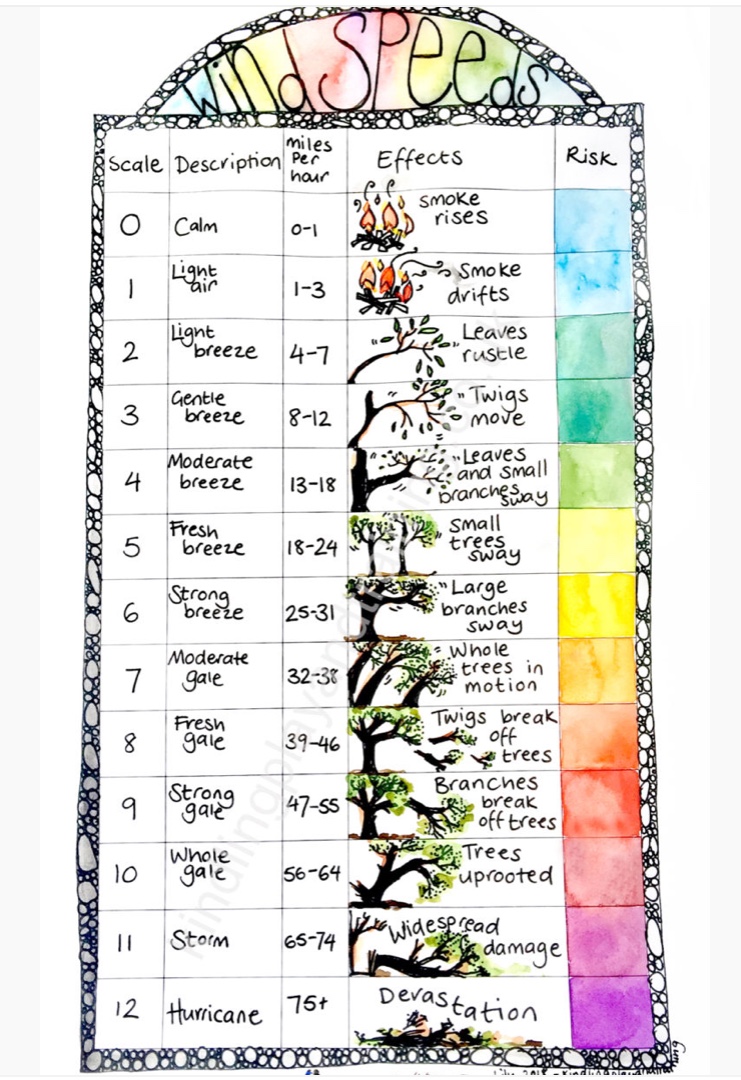 2834CD2A-0BED-49FA-9799-41436DFA8D3D