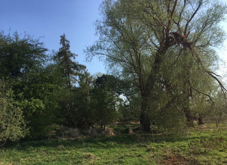 6497E889-F553-47A9-B004-13A007714148