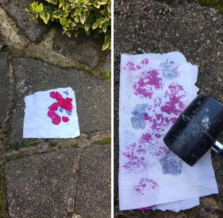 830F38F7-B4E9-4B81-88C6-50D14C4726AA