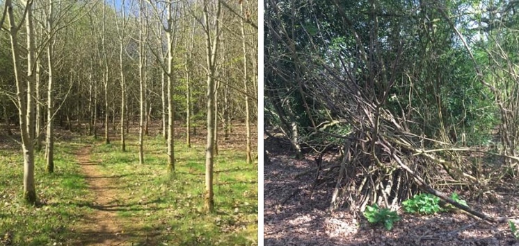 A40BE3A8-4AF7-4688-A76C-09AF980F62A8