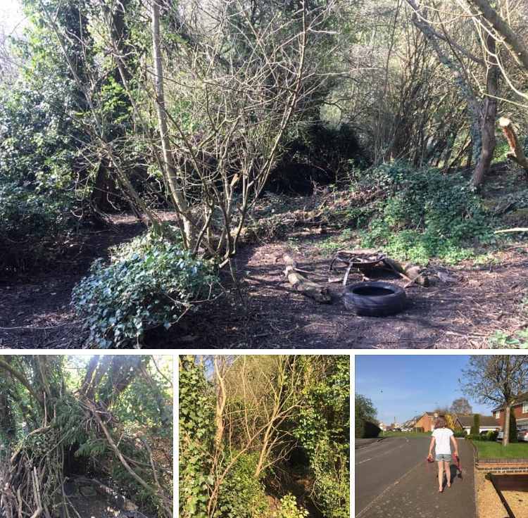 A6B1CD8B-F096-457D-805C-A8F8806DE7ED