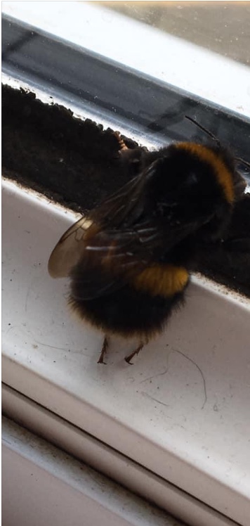 A6DF7CDA-518F-40EA-9569-4D7C17759898