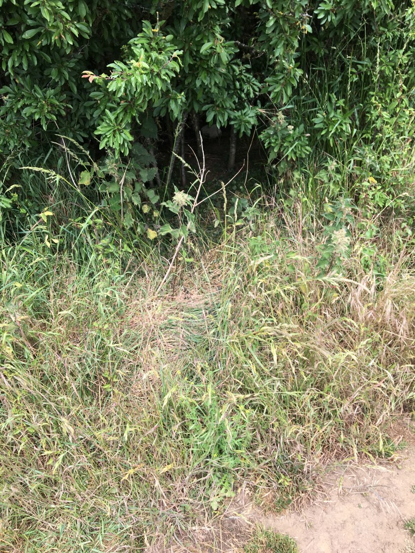 17D6C659-69DD-4172-B18B-24CAFFE604FE