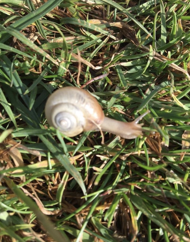 1AA2E62B-DE92-4428-9717-BC3DA0469AC8