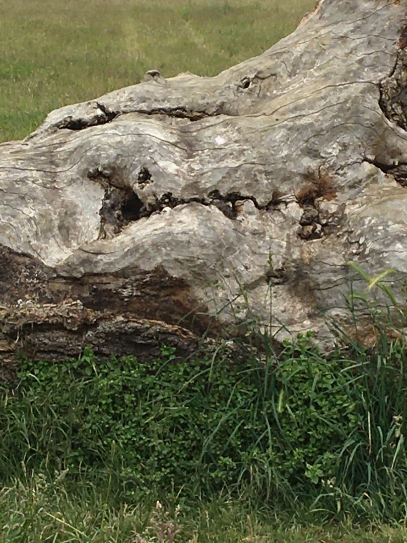 23364255-8104-4393-A62A-5408BCE6DE6C