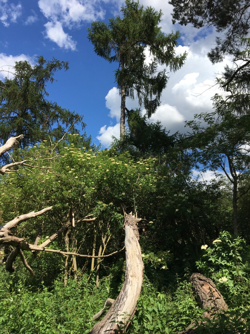 260E8D11-62EB-4CCD-A234-B82FBFDAB8CD