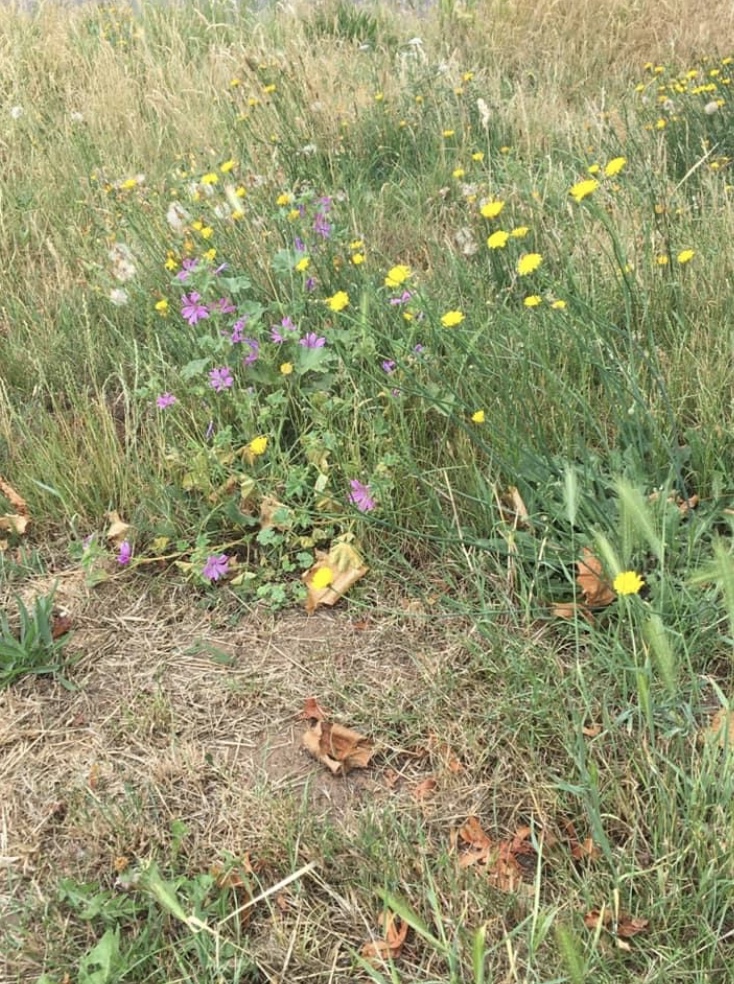 38E01DEF-BD89-4125-BDA8-29EA6A9D7490