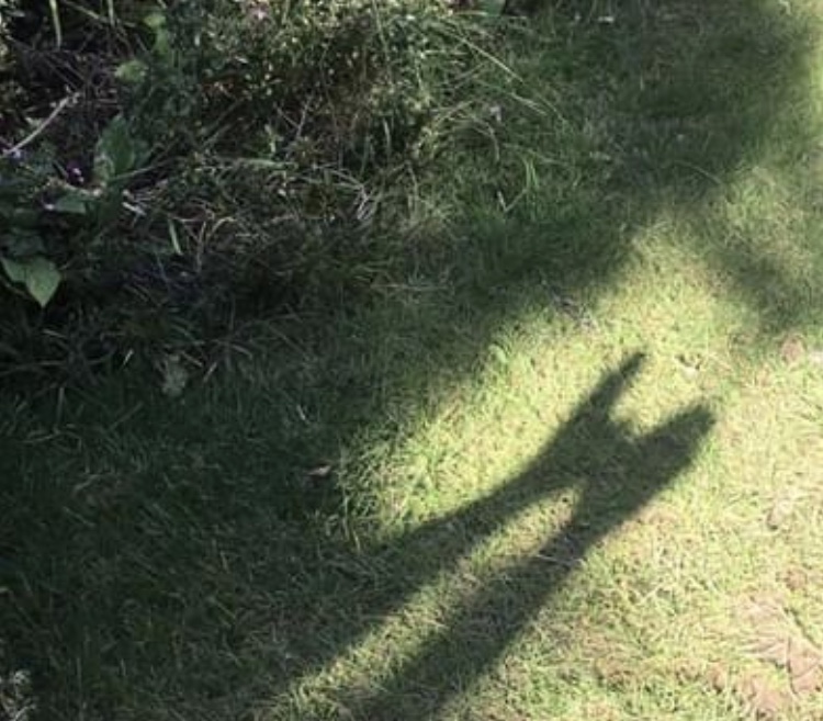 4717EE08-97C5-483F-8EB6-1292F5D1F06B