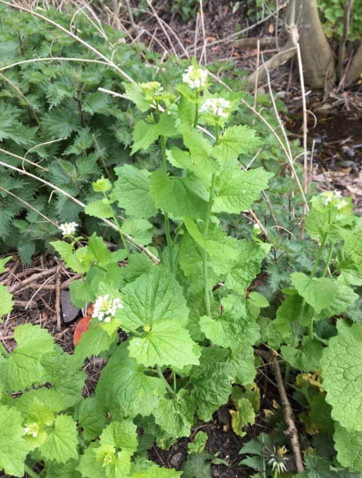 4A64B05C-6BC9-4008-B637-44BEC5C382B6