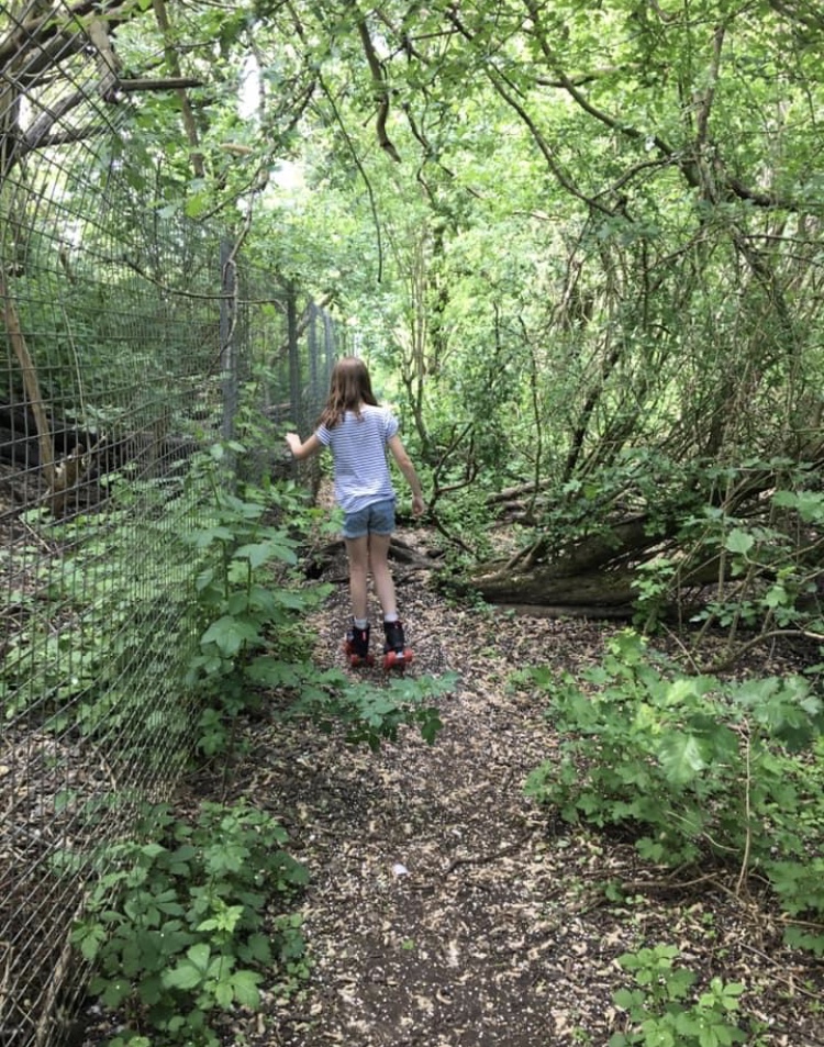 716B8DA8-A88B-496E-9266-AC7CE90F6BEC