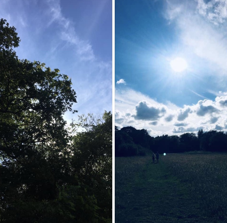 7236516B-D2E6-4E2D-9294-909D792E0715