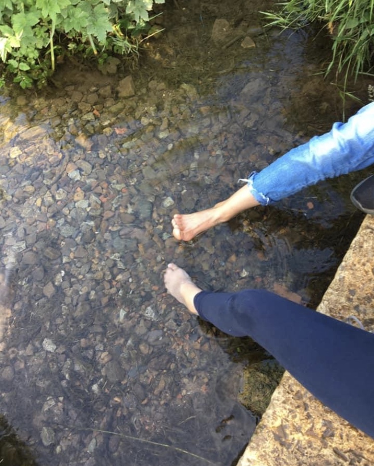 DCF223D1-1C30-4FAA-91D7-CF131C6432A4