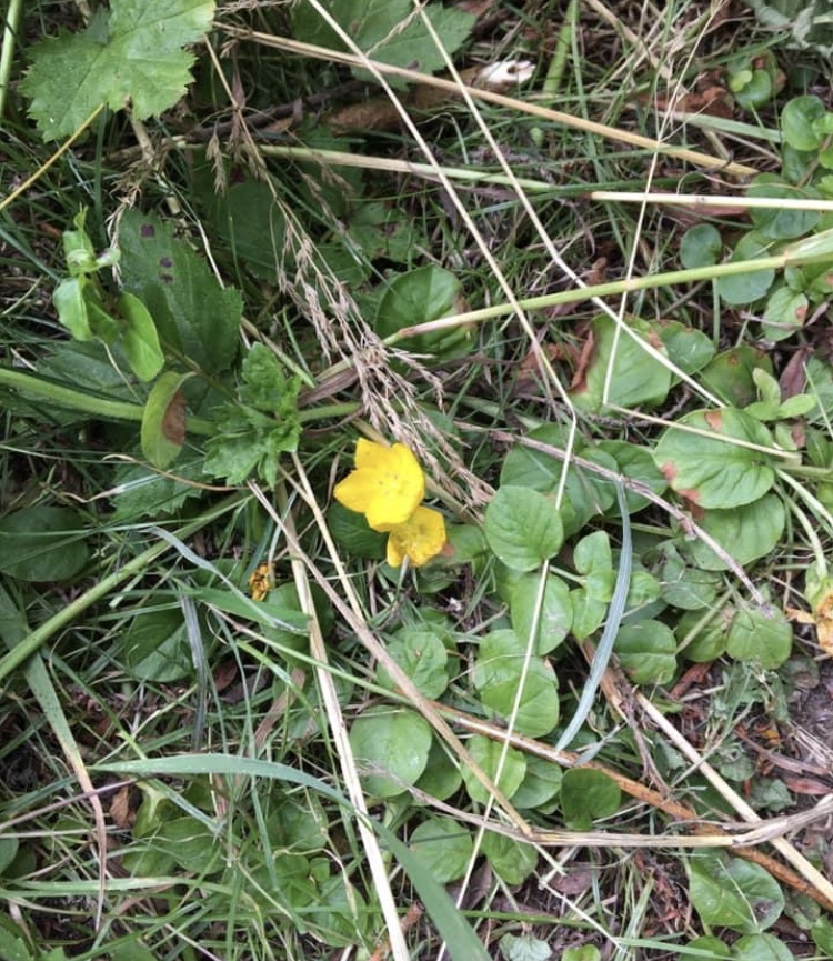 0551AF92-C58C-4274-A885-BDFF99CECDF6