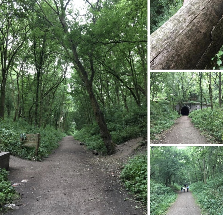 2B7F1BF7-64DE-49BA-98CC-9F702C324F09