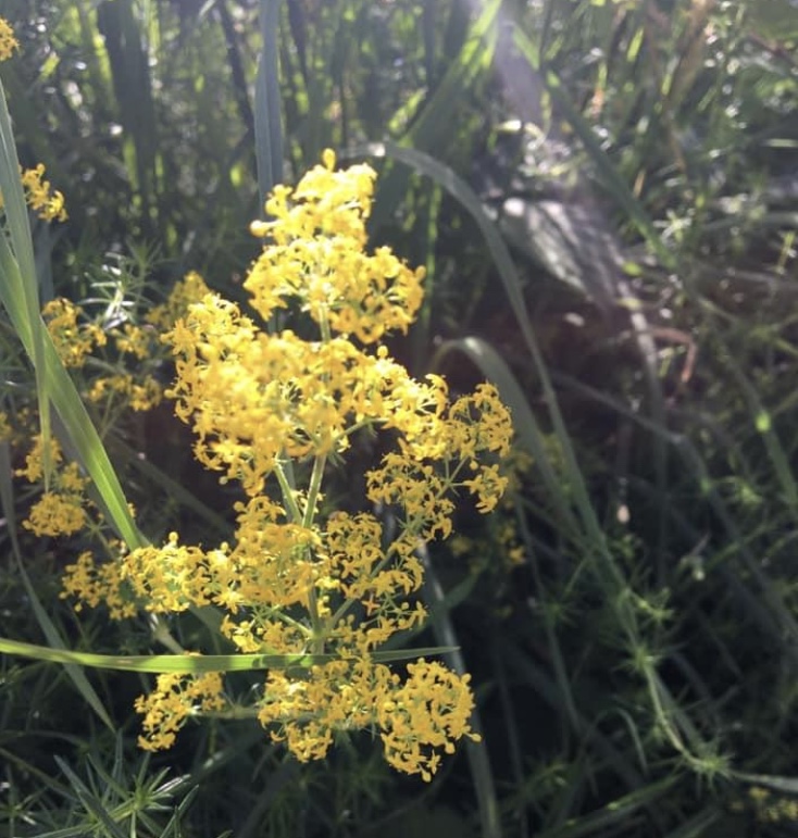 60F0CBFF-4D6B-4B4A-BA04-CA64E6529FDC