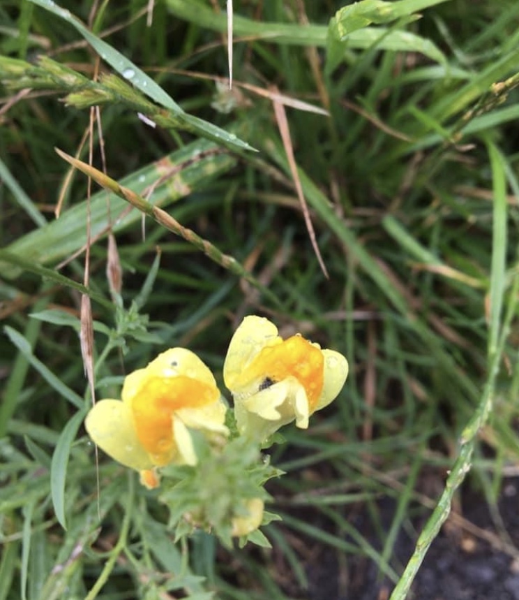 DBA736EC-7737-486B-8029-FFFBC8CDB4AB