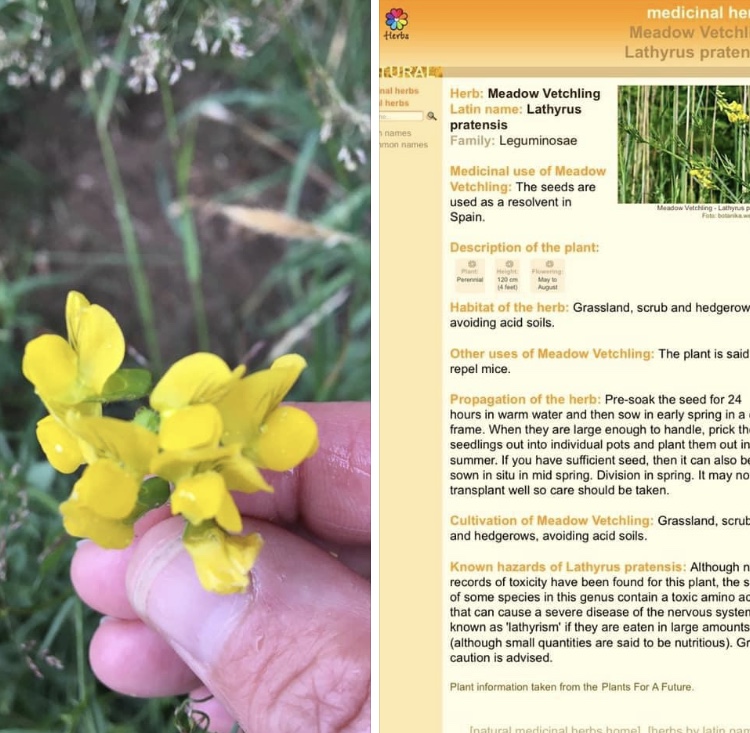 F2574E88-E0DC-44AA-A33A-5320968CF03E