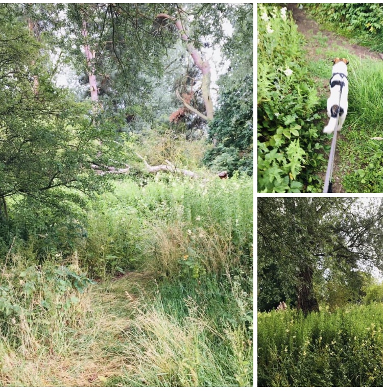 F986CFDD-FF03-49EB-A97D-28C7555E113E