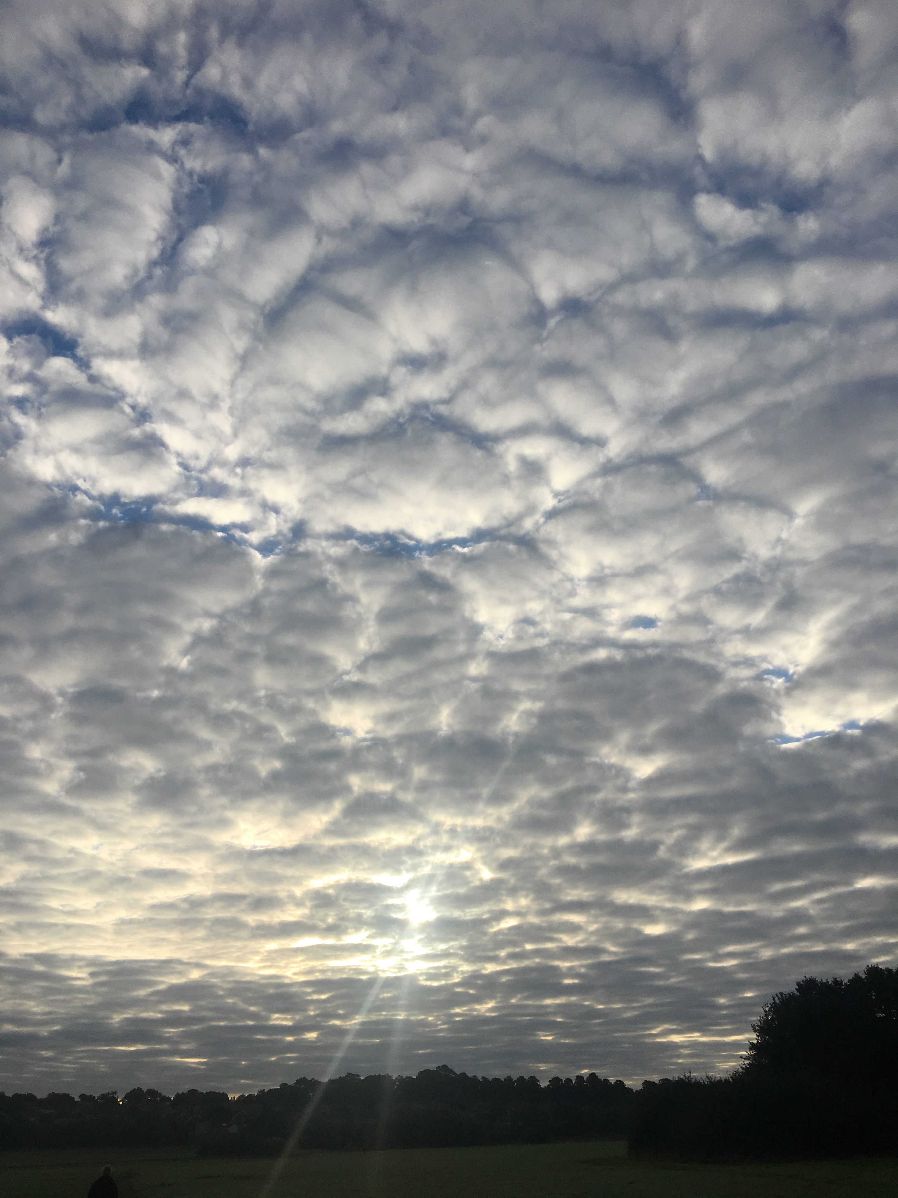 1AB1351F-3ED1-4BC7-9A36-B552969FA734