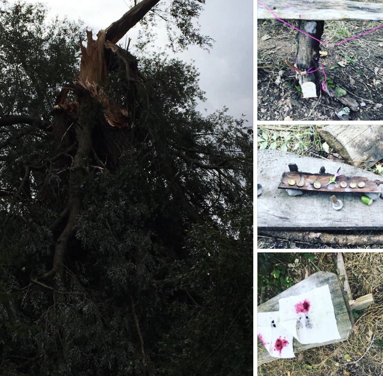 49763843-B27F-4F60-8C02-E96B80A02EFE