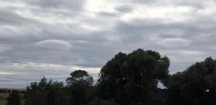 4D156E88-09D6-452A-844A-DB7A44A80483