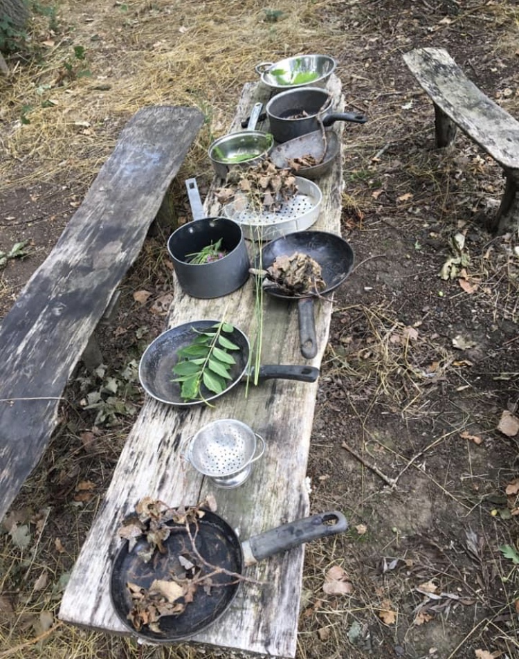 5BA6AB74-B547-4435-855A-526D8C3F5E04