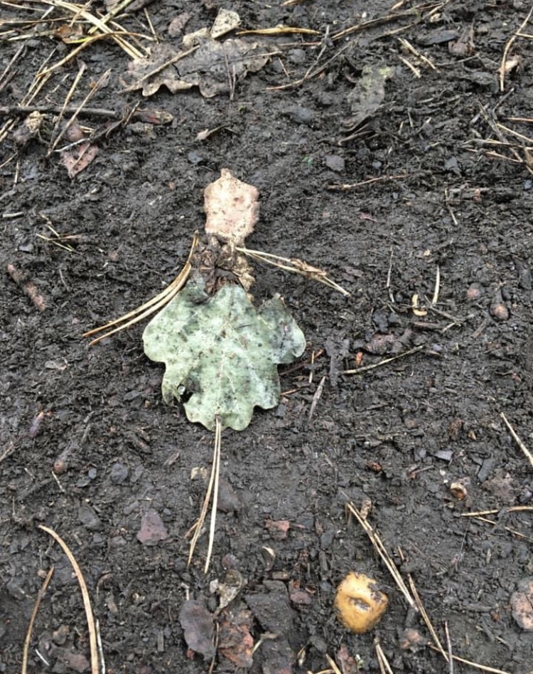 928627DF-E12D-462E-A20F-01AD023C7456