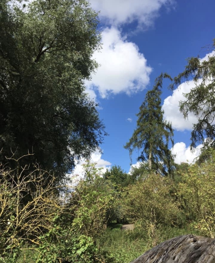 B4C2D98A-D727-4BD0-9D1B-8CBCED2A0093