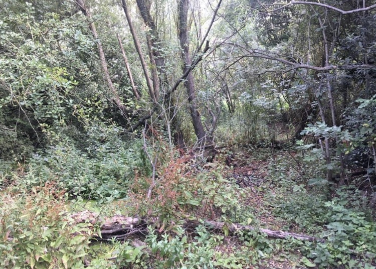 E7CE7DE2-D304-4646-A628-5ABFA6049B6B